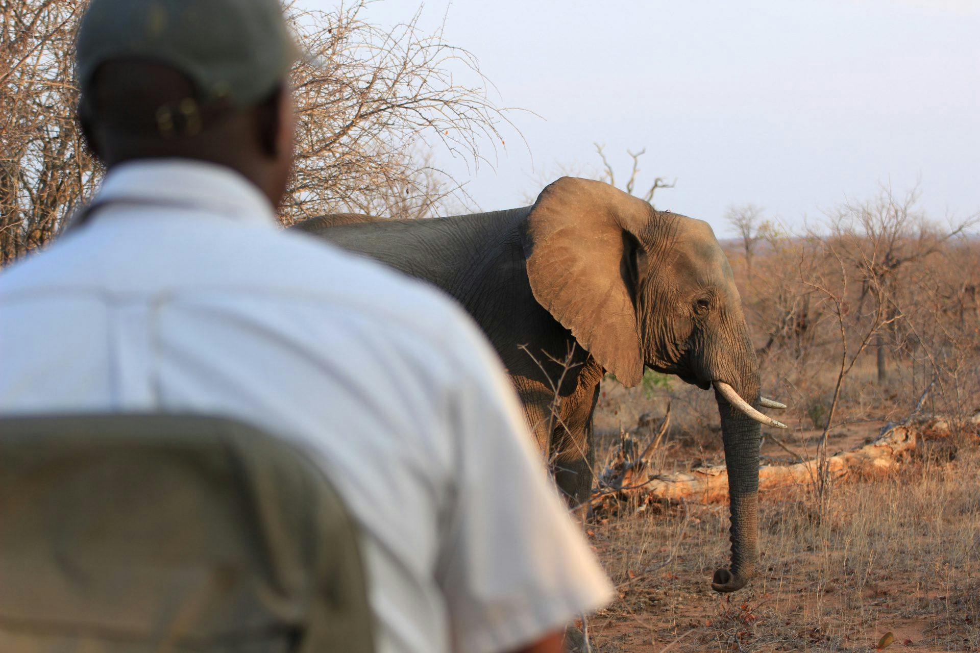 Force For Nature rangers protect planet ORTEC ABW Analytics for a Better World