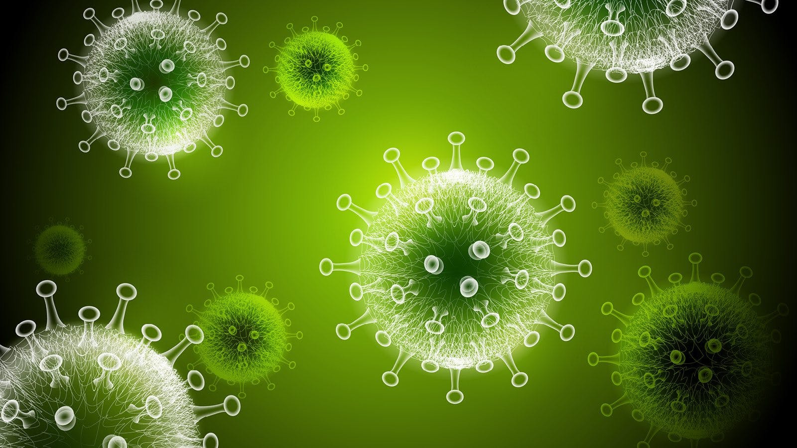 Coronavirus crisis triggers continued digitalization