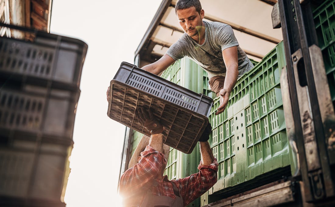 Food & Beverage Wholesale Distribution Solutions - Benefits | ORTEC