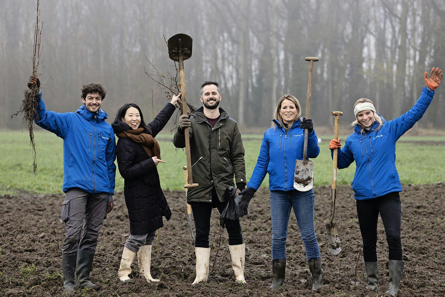 Trees planting