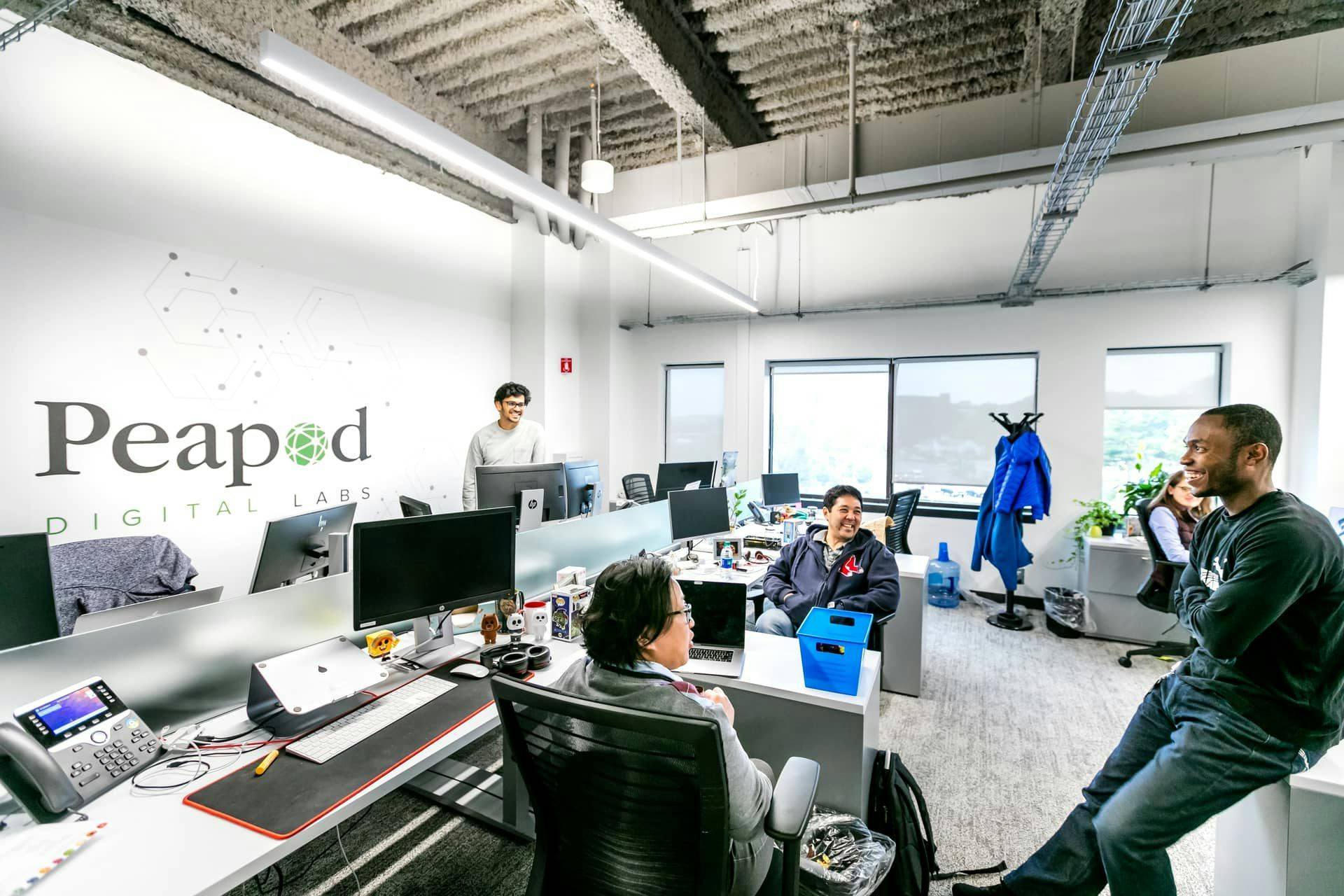 The Team of Peapod Delivery Labs