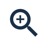 Monitor - Zoom - icon