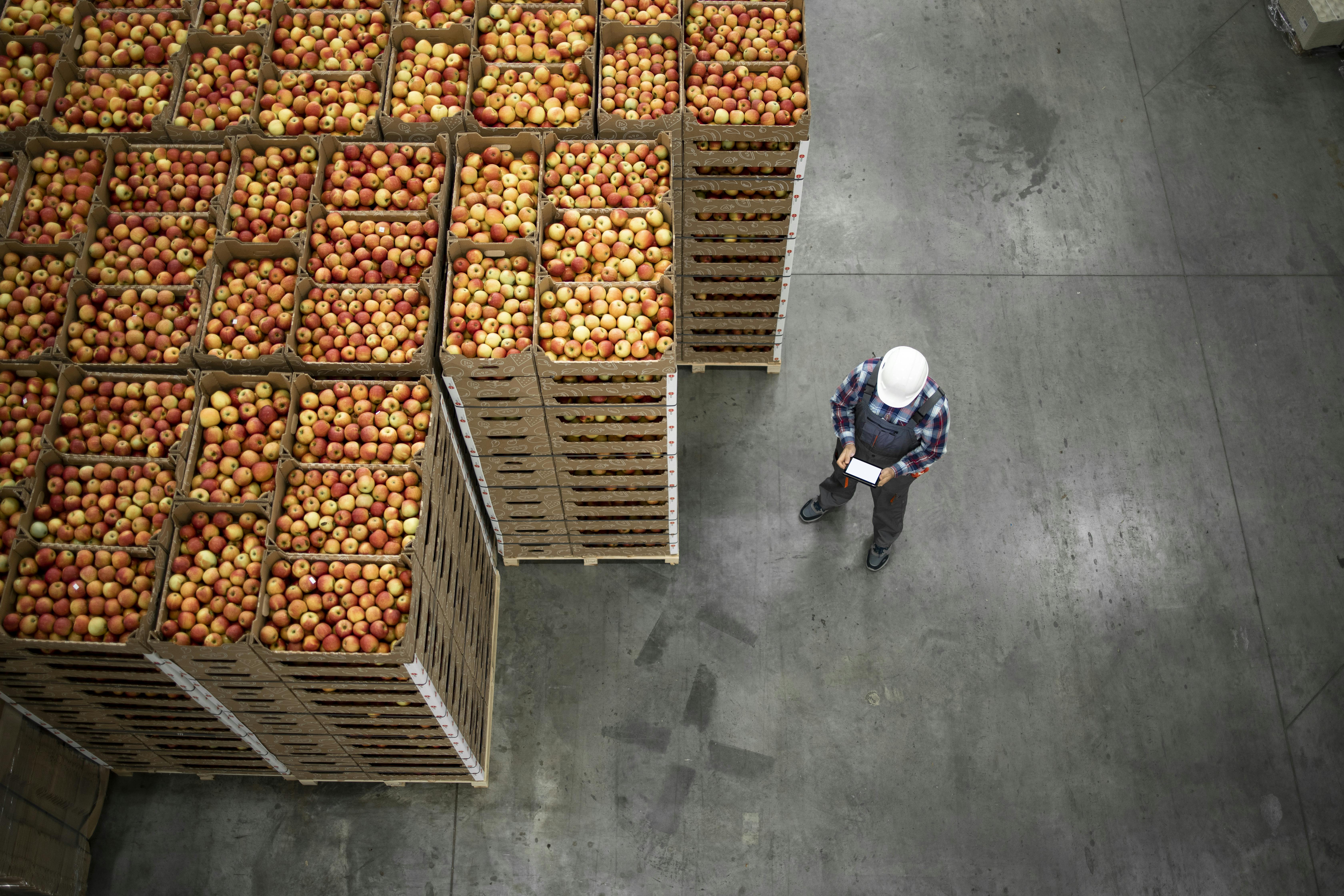 Key Benefits of ORTEC Foodservice Distribution Solutions