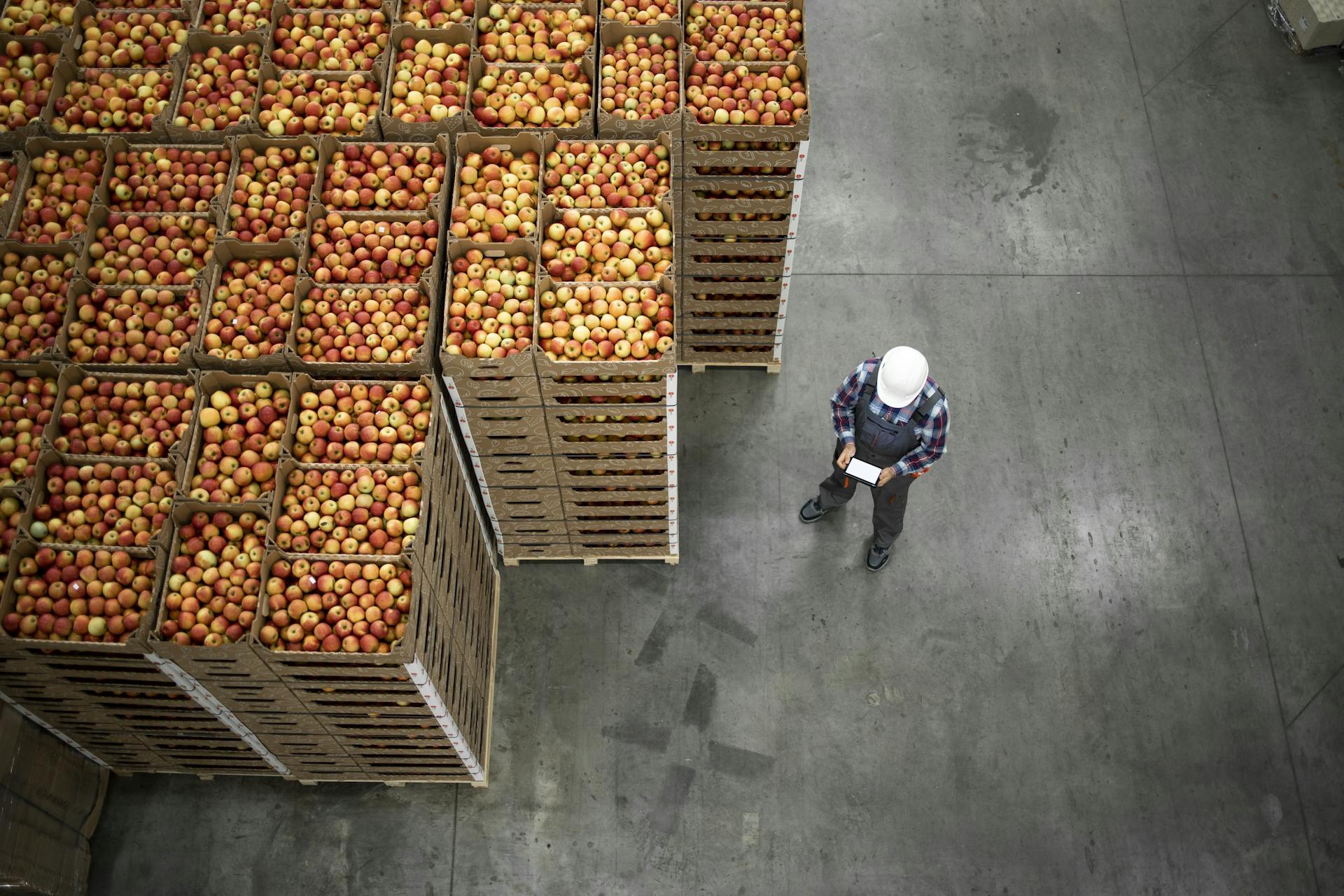 Key Benefits of ORTEC Foodservice Distribution Solutions