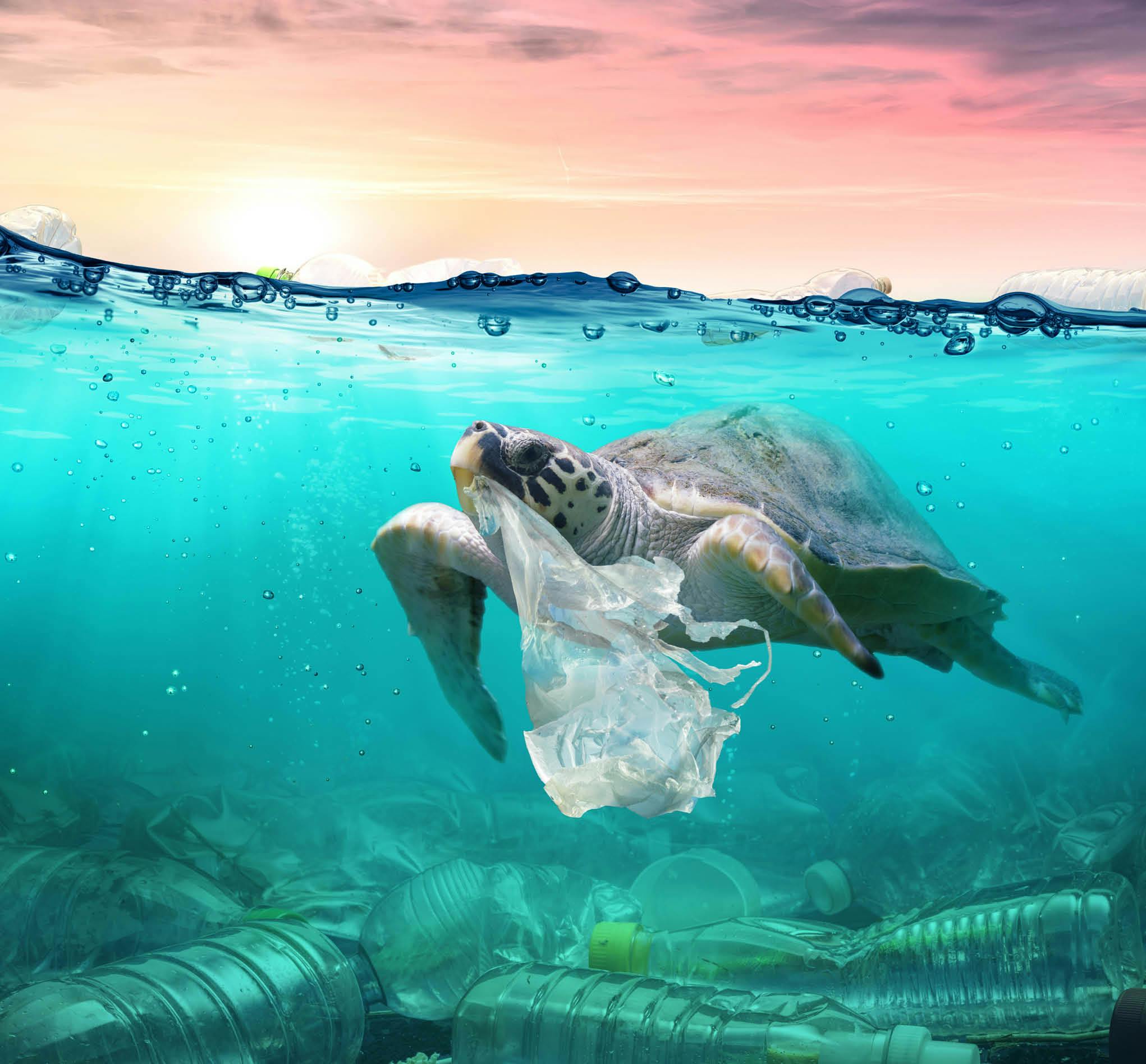 ORTEC Sustainability Partners