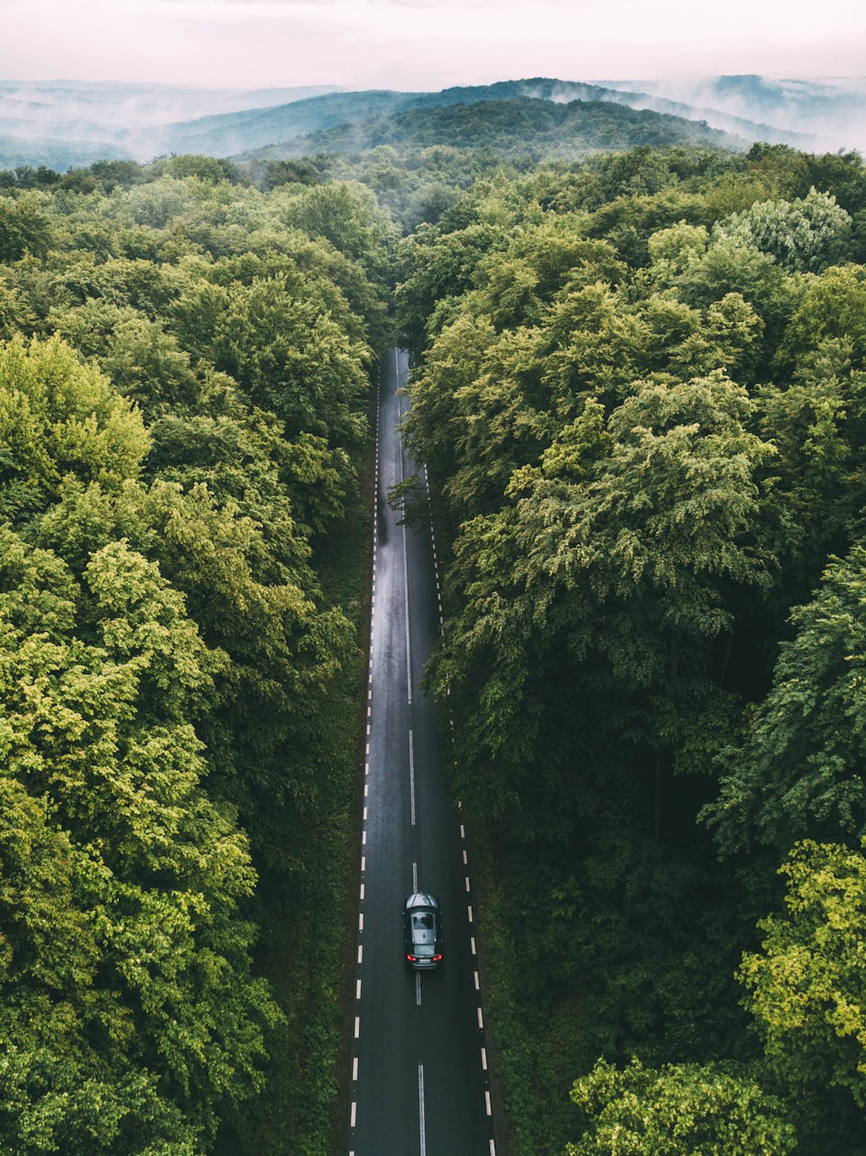 An electric car drives down a straight road through a misty forest