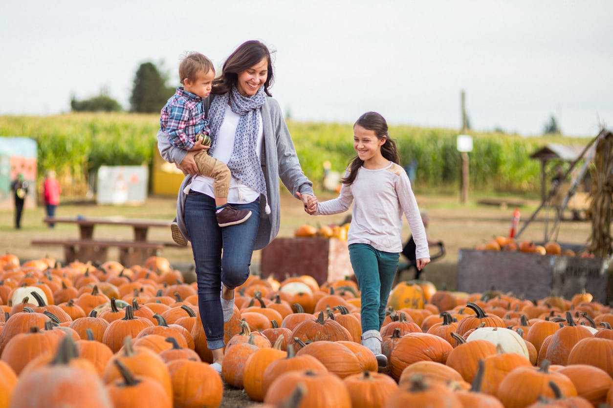 Family at a pumpkin patch