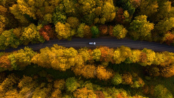 A birds eye view of a car driving through a forest with autumnal colours.