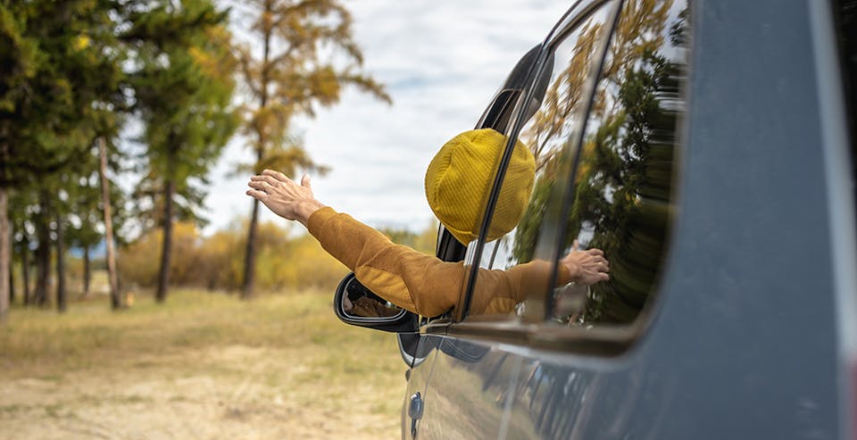 A person wearing a yellow woollen hat leans out of the passenger window of a vehicle parked in a forest clearing