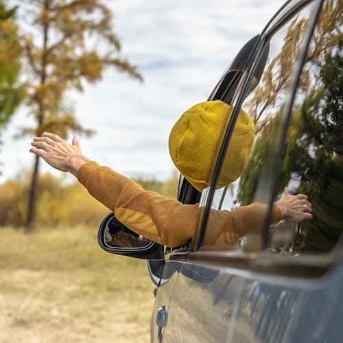 A person wearing a yellow woollen hat leans out of the passenger window of a vehicle parked in a forest clearing