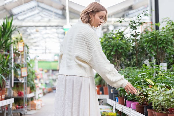 A young woman in a white jumper and skirt browsing plants at a garden centre