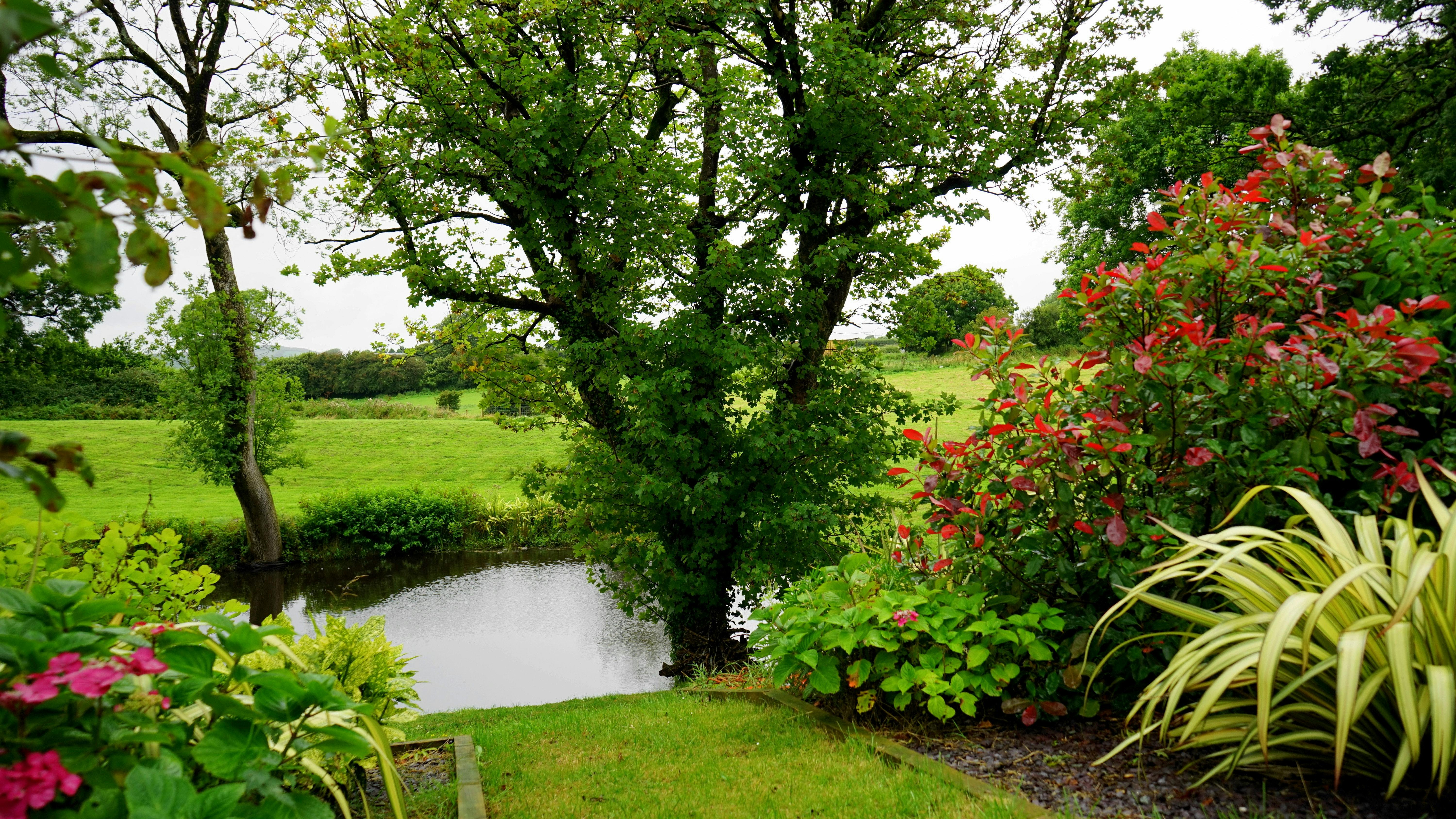 Garden in English countryside