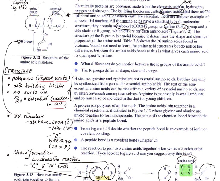 Example of detailed notes made in a Level 2 science text. The student has used underlining and circling within the text and added annotations in the margin.