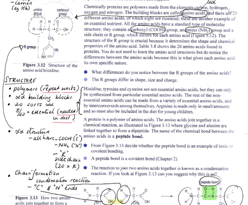 Note-taking techniques: Highlighting and annotating | Help Centre | The