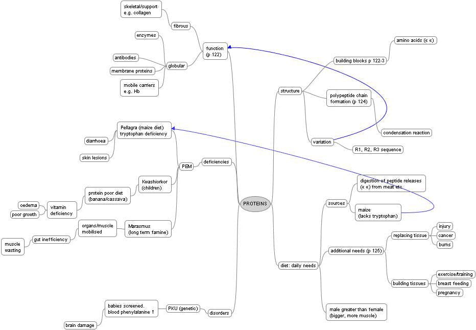 Example of computer generated mind map with nodes and directional lines in black and white with Proteins at the centre.