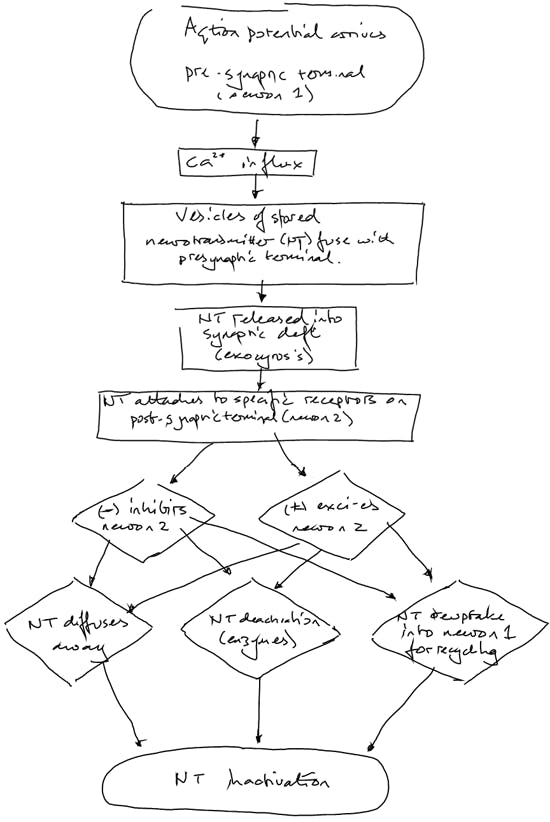 Example flow chart from a level 2 module.