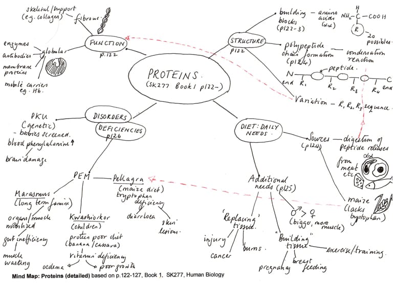 Example of hand-drawn mind map, that doesn't use colour, with Proteins at the centre and includes some small hand-drawn images.
