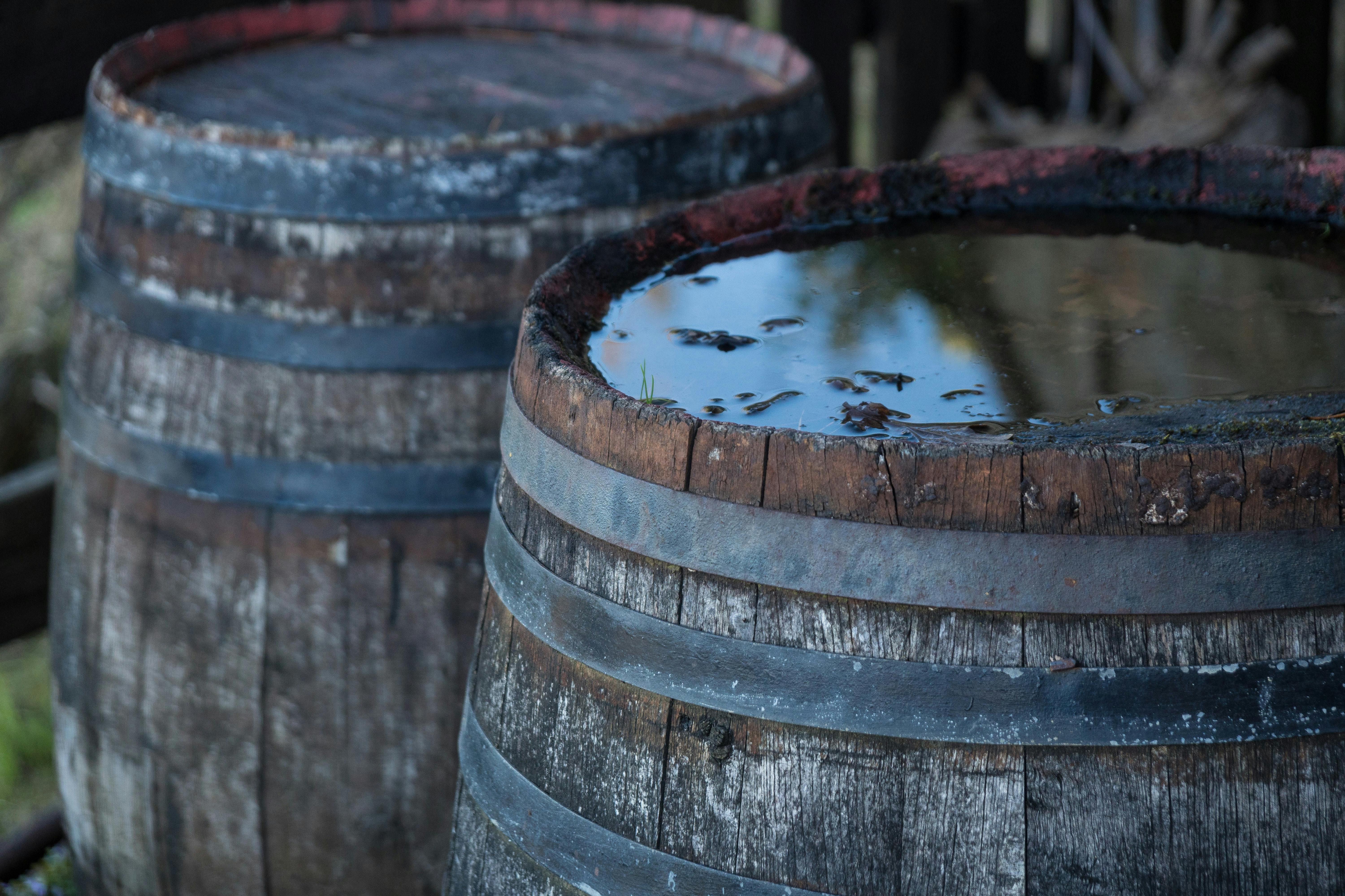 two barrels filled with rainwater 