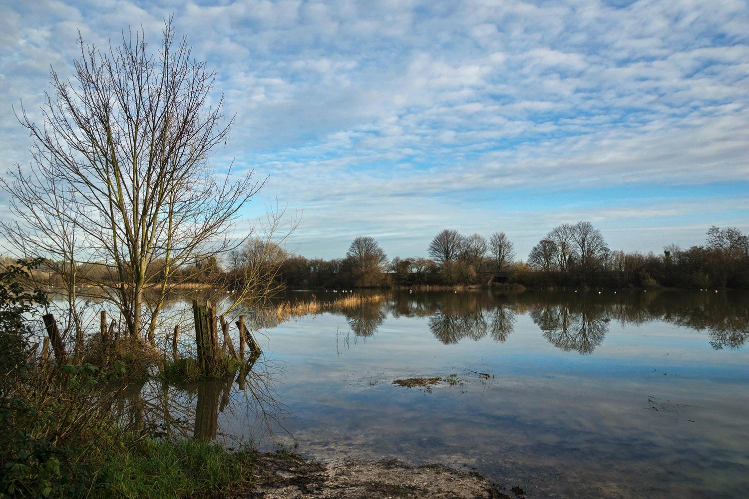 A photograph of a field flooded by the rising River Ouse near Lewes