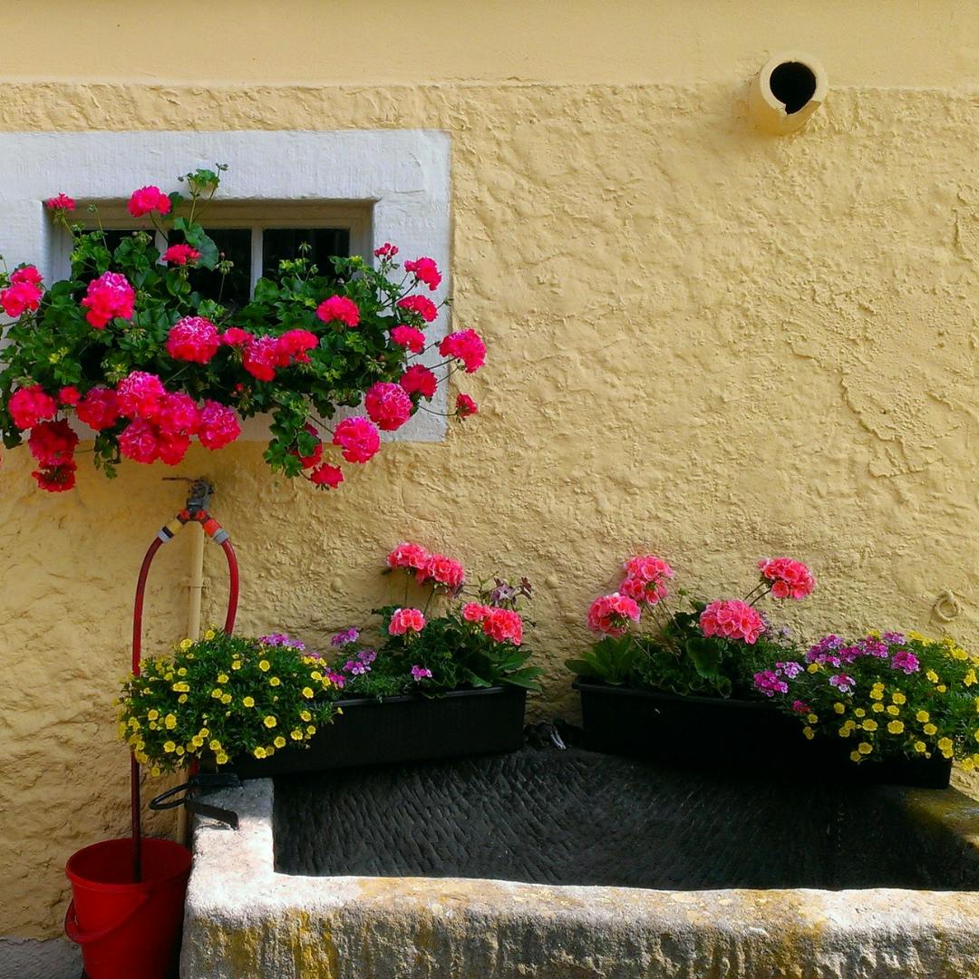 a water trough next to a pipe 