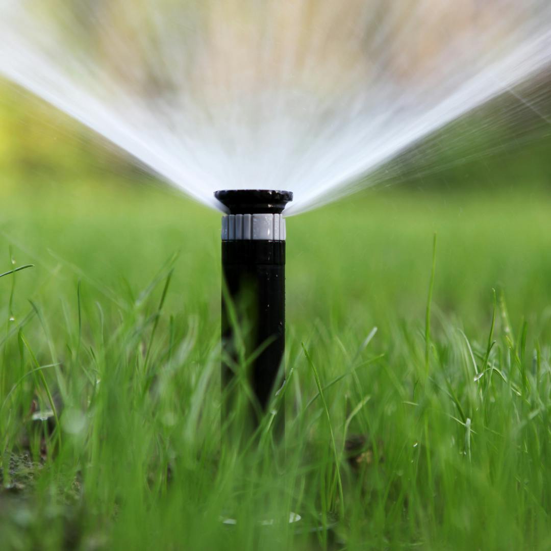 A sprinkler spraying water in a grassy garden