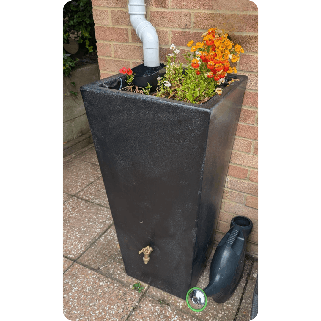 rainplanter attached to downpipe with orange flowers in the top