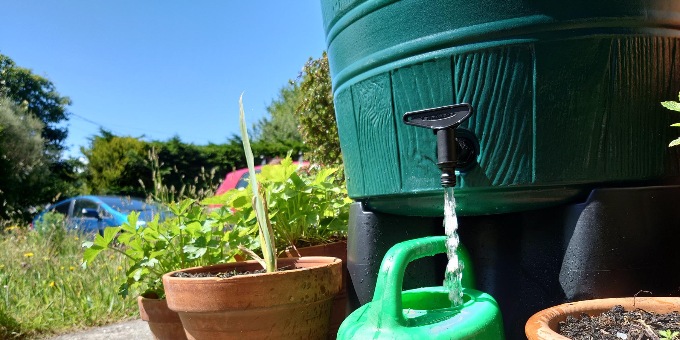 A close up of an open water butt filling up a gardening canister below. 