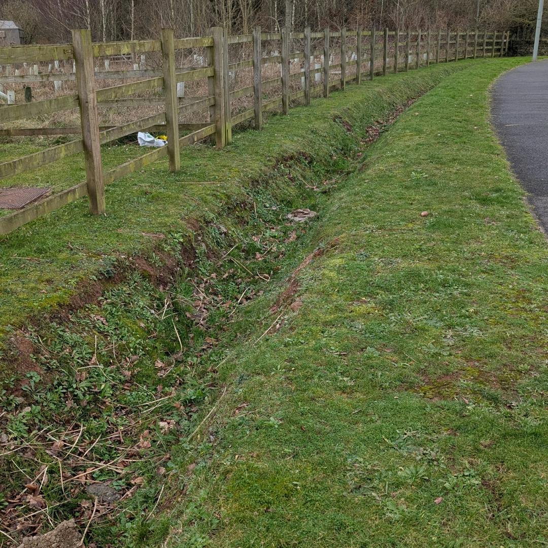 A grassy swale