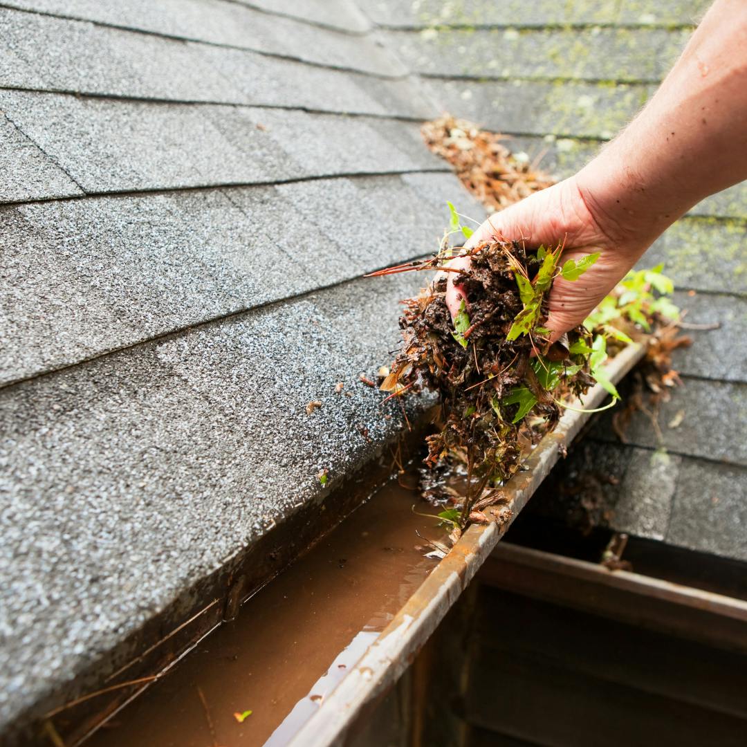 A hand clearing out some gutters that are full of moss