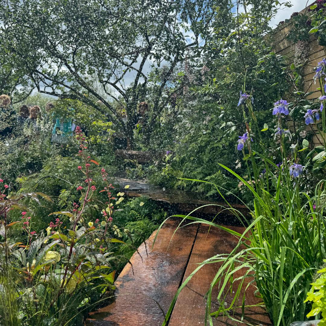 RHS Chelsea Flower Show - Flood Resilient Garden