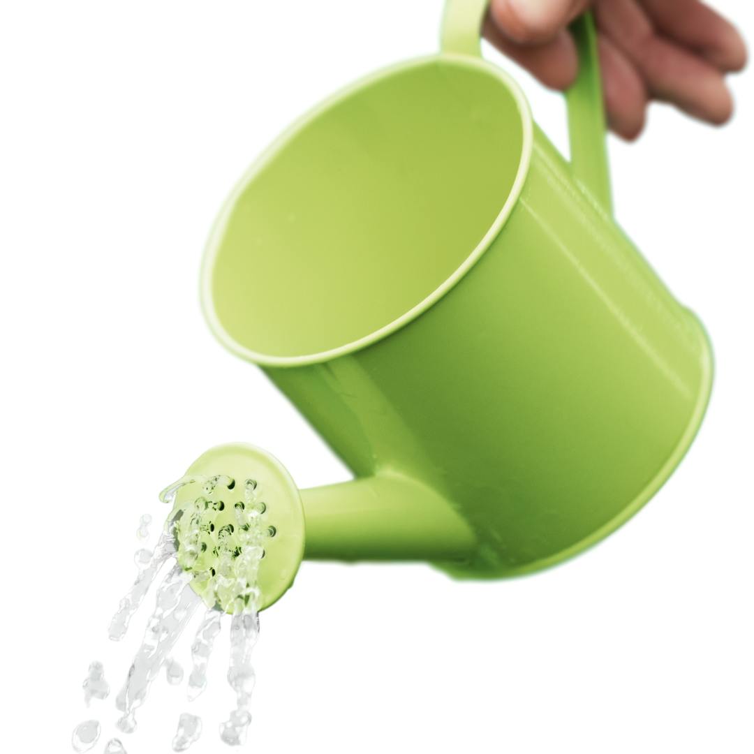 Small green watering can with holes in the spout being poured. Blank background