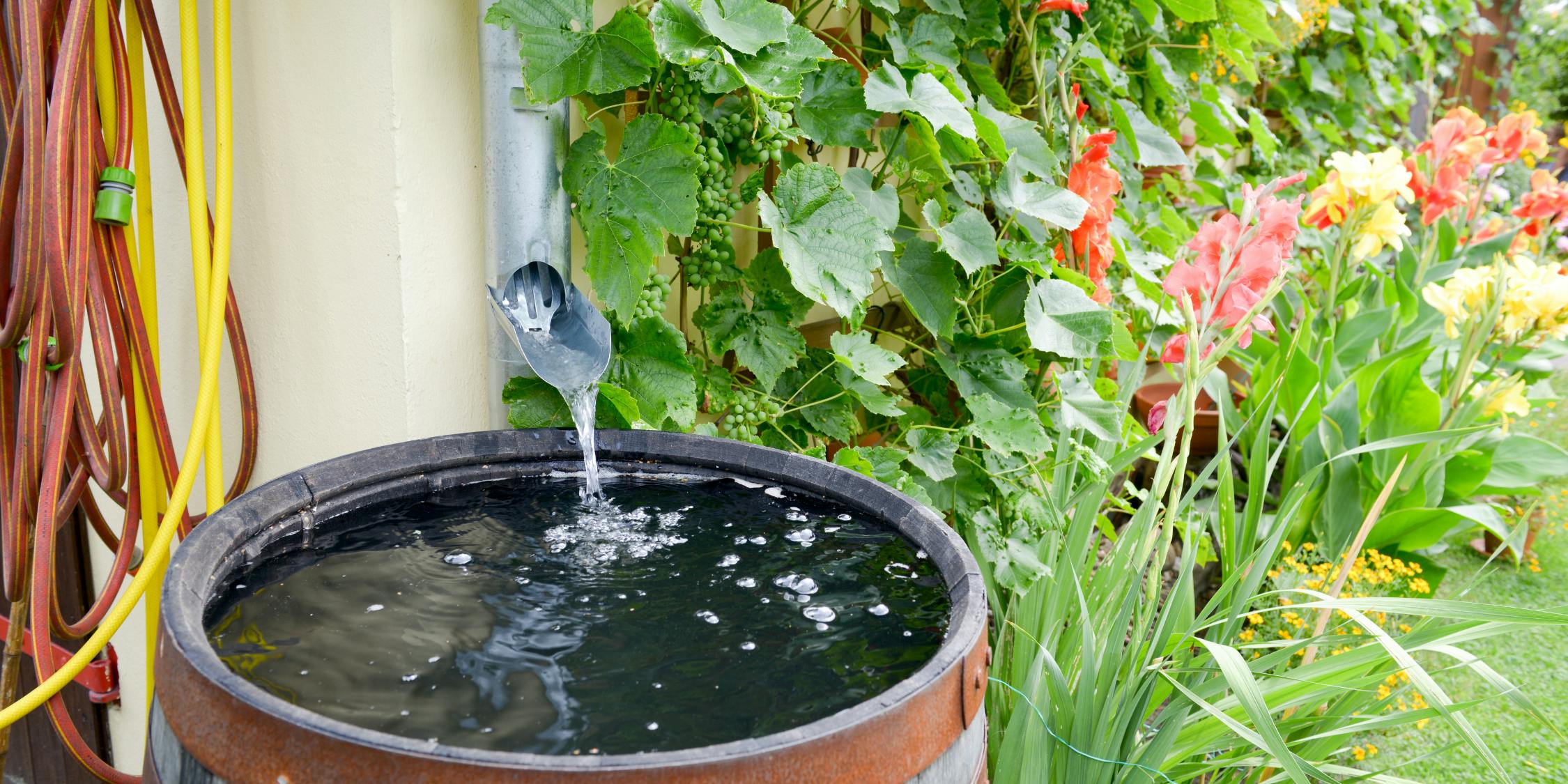 Water butt with downpipe water flowing into it