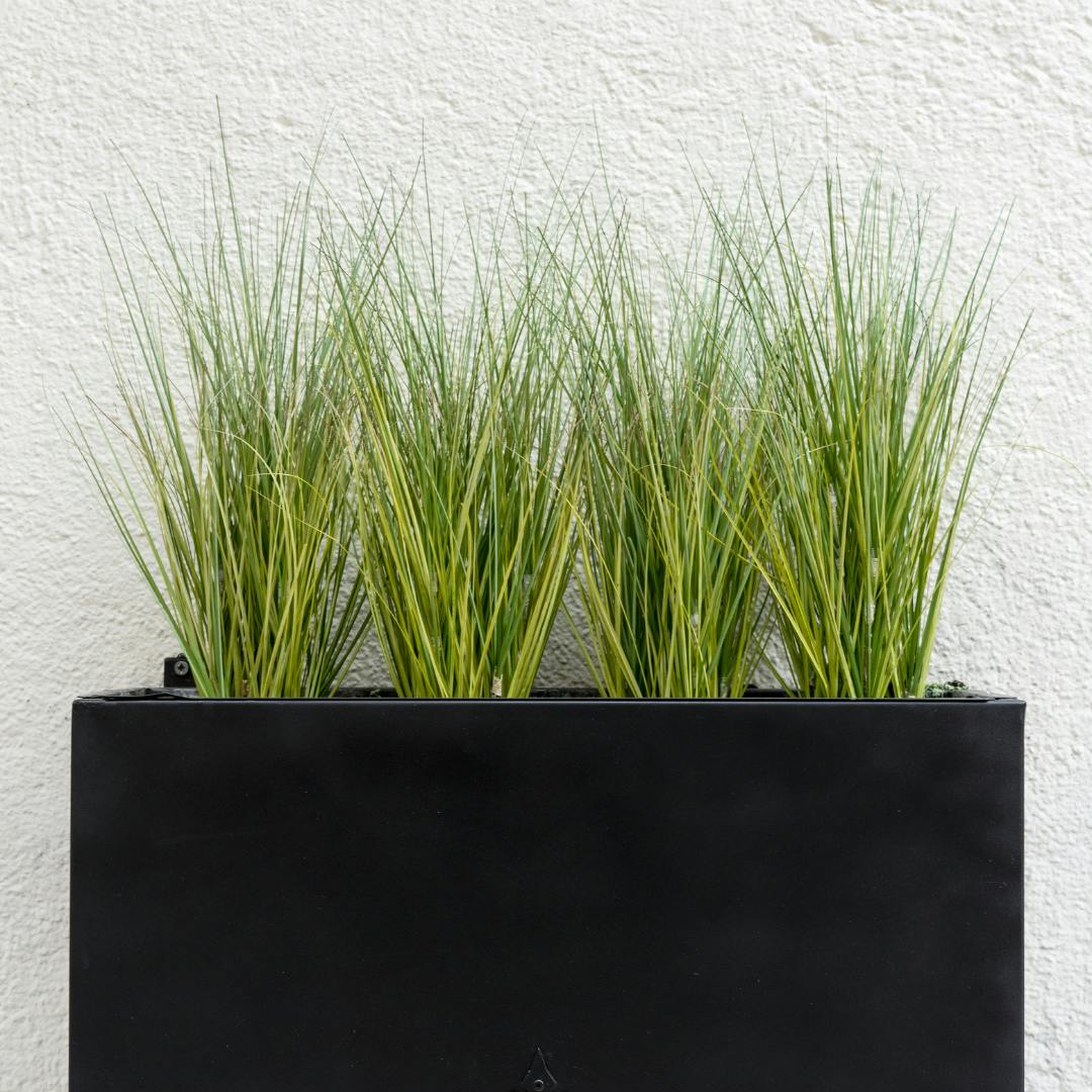 Black rainwater planter with green pointy shrubs 