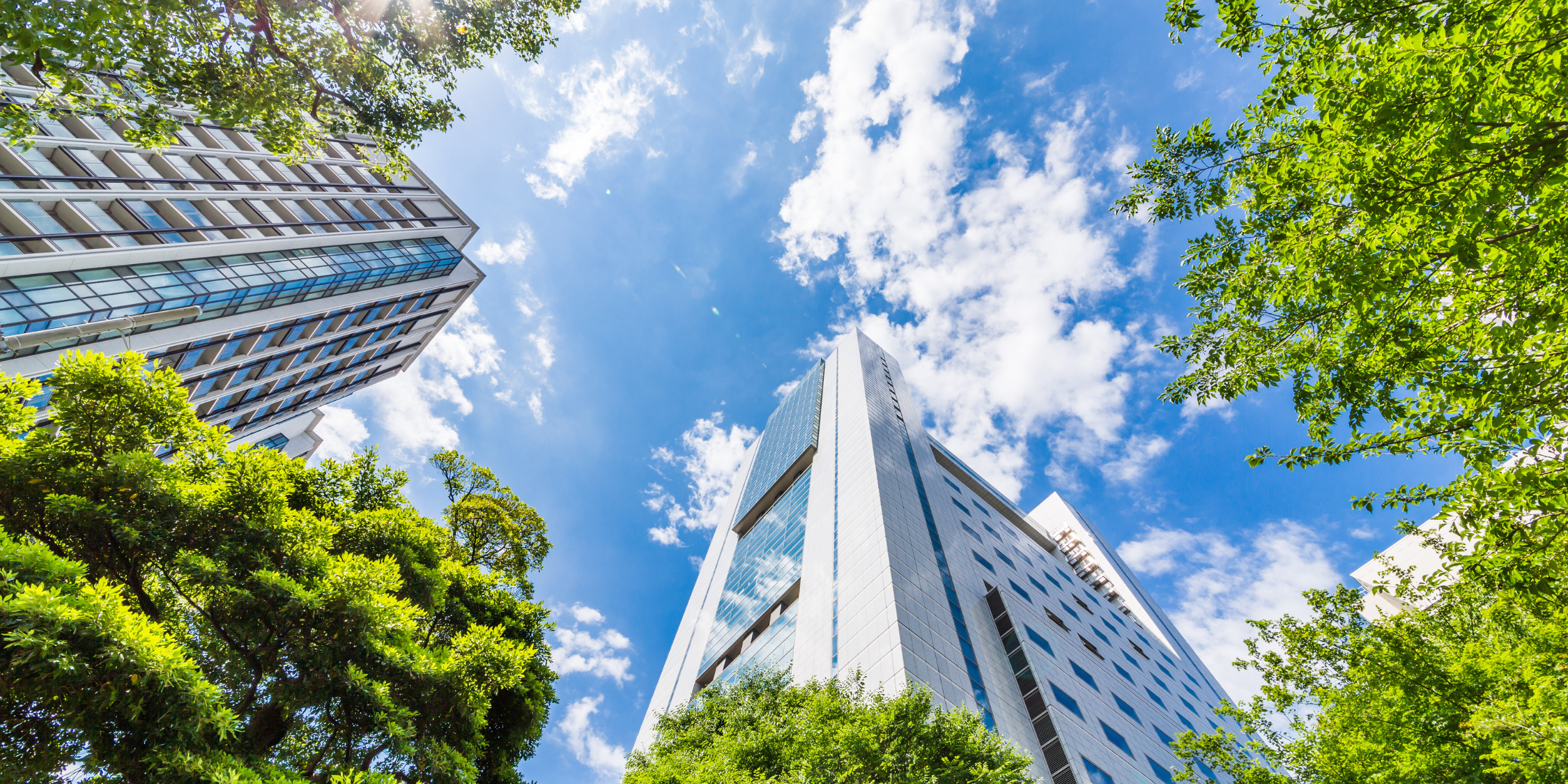 Skyscrapers surrounded by greenery