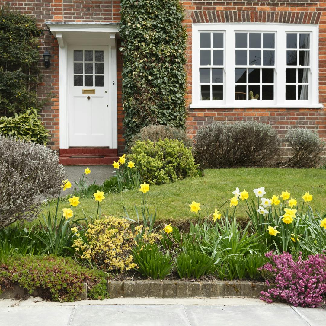 a front garden with flowers, including daffodils in front of a read brick home 