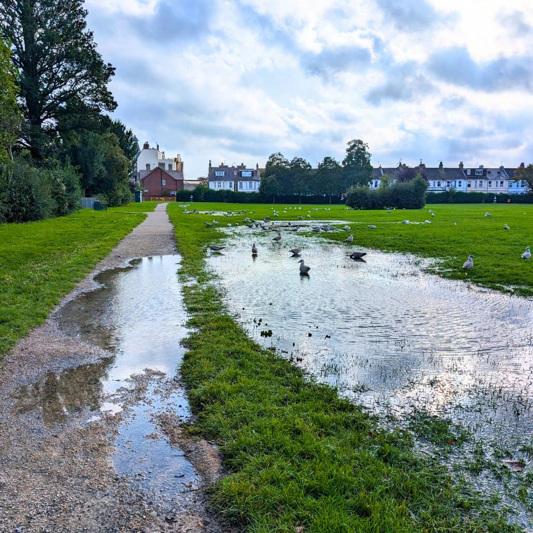 A path through a grassy park with large puddles on both the path and the grass