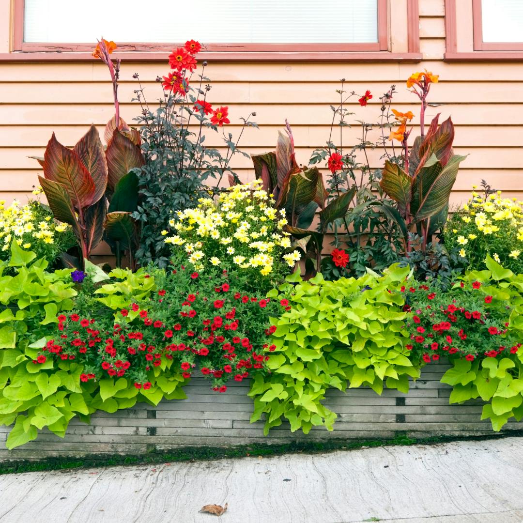 A rectangular plant pot full of flowers