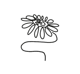 ALLYSHIP AND
ACTIVISM