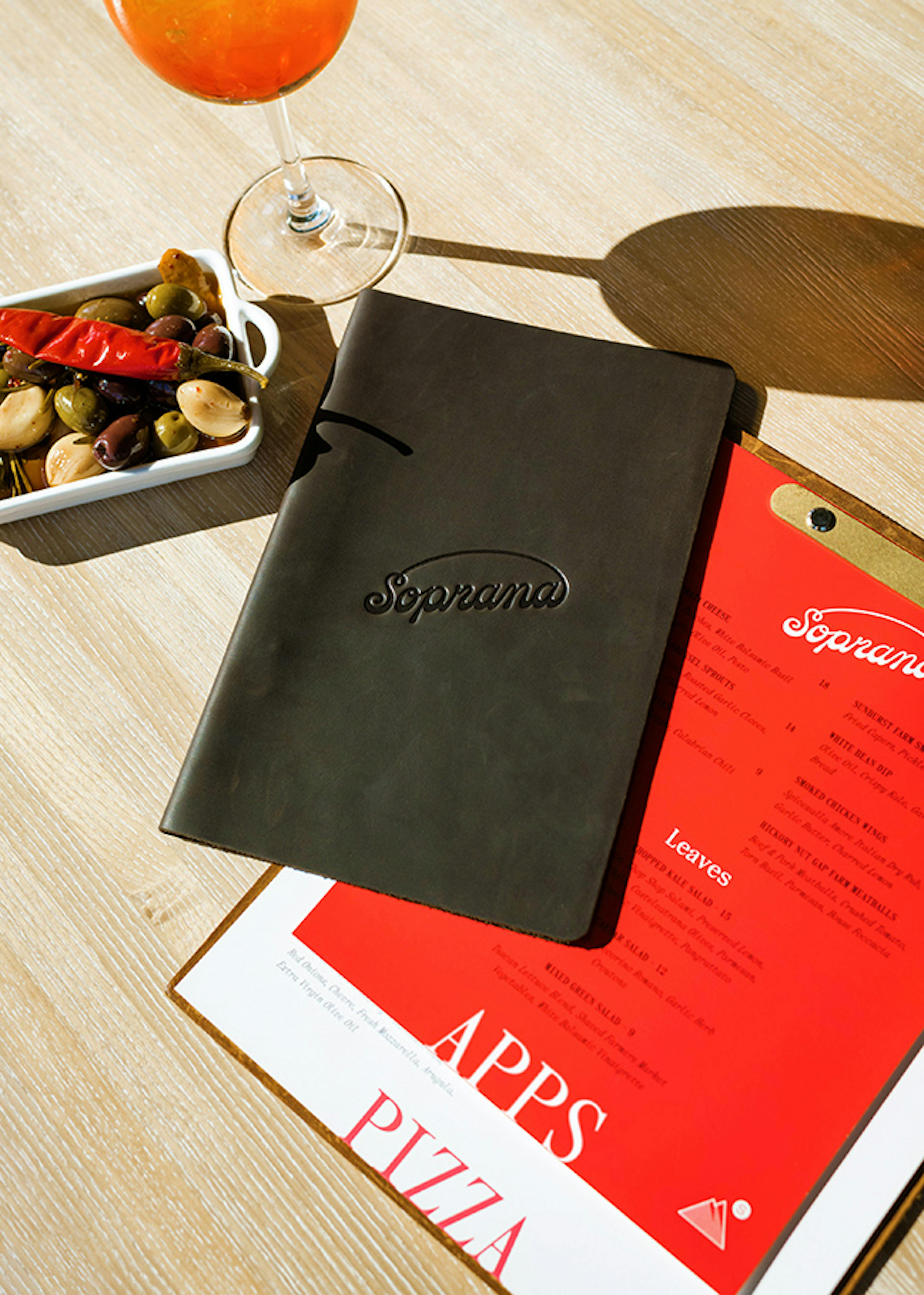 Soprana Case Study Image