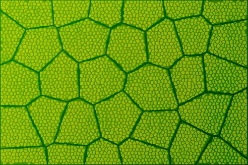 Next 50 years of science-driven innovation