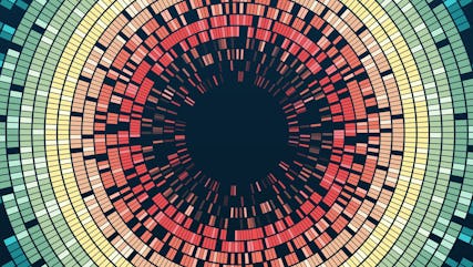 Scouting the leaders in video compression codecs