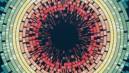 Scouting the leaders in video compression codecs