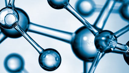 Chemical catalysts: landscape of leading university labs