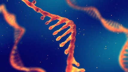The future of RNA-based disease diagnostics