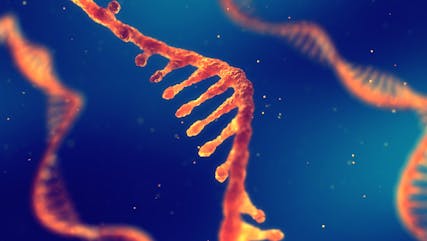 The future of RNA-based disease diagnostics