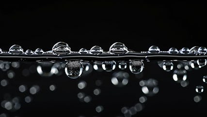 Scouting for transparent superhydrophobic coatings