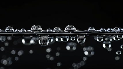Scouting for transparent superhydrophobic coatings
