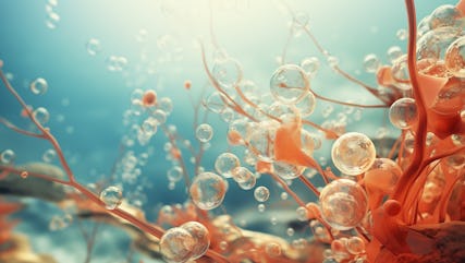 Real-time ocean sensing of dissolved organic matter