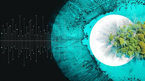 Scouting: Finding the Right Collaborators for Innovation