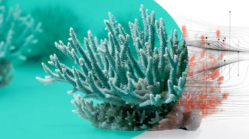 Building the global innovation ecosystem for coral restoration
